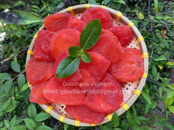 DRIED PASSION FRUIT Packaging Cardboard Shelf Life 12 - GOODFARM - Vietnam