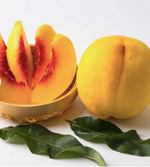 Preserved Canned Fruits Food Slices Canned Yellow Peach Halves.Best Price Factory Canned Apricot Halves Canned Yellow Peaches With - Almaa SCS - Belgium