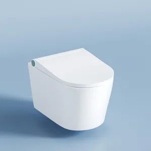 Smart Heated Toilet Seat Automatic Sensor Intelligent Smart Toilet Seat - Guangdong Youyuan Trading Co., Ltd. - China