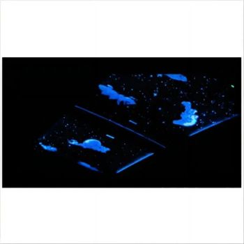Premium PC Material Stargazing Car Window for Ultimate Visibility Starry Skylights Car Sunroof - Jiangsu ANKO Optical Materials Co., Ltd. - China