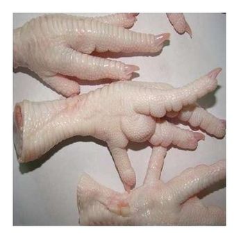 Whole Chicken / Frozen chicken feet/ Frozen chicken paws Bulk Best Price  -  CALIPSO POLSKA SP Z OO  - Poland