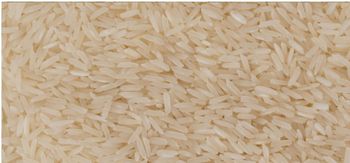 IRRI 9 Rice Features Organic Product Type Rice Origin Asia, Pakistan Place of Origin Pakistan - Elite Global General Trading FZC LLC - United Arab Emirates