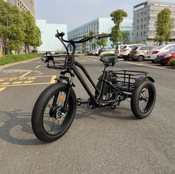 New Model Pedicab City Bike Leisure 3 Wheels Electric Motorcycle/Tricycle/Trike for Old People - Changzhou Avelo Electric Technology Co., Ltd. - China