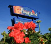Product - Flowerland - United States