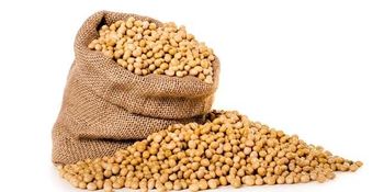 SOYBEANS for sale and export – product photo, Soybeans products found from trusted suppliers, wholesalers, manufacturers & exporters Listing