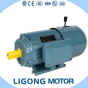 Yej2112m 2 AC Brake Motor 4kw 2890rpm for Door Control System - Zhejiang Ligong Motor Co., Ltd. - China