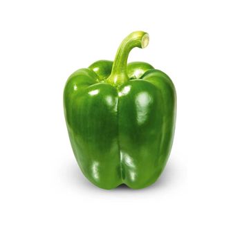 Bulk Supply Premium Grade 100% Natural Fresh Capsicum High Quality Bell Peppers for Sale - TRADECENTRIC LLC - United States
