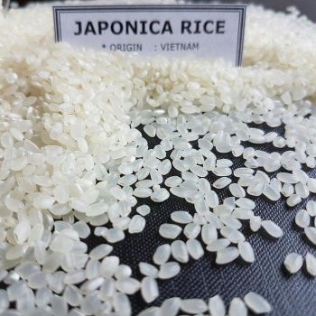 Short-Grain Japonica White Rice 5% Broken Soft Texture 4.5kg BOPP 2-Sided PE Inner Packaging Punch Handle Master from TRADECENTRIC LLC Short-Grain Japonica White Rice 5% Broken Soft Texture 4.5kg BOPP 2-Sided PE Inner Packaging Punch Handle Master - TRADECENTRIC LLC - United States