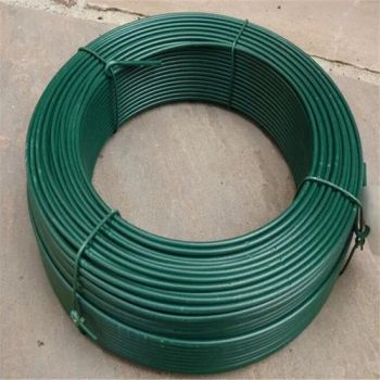 Environmentally Friendly Custom Green PVC Coated Straight Steel Iron Wire for Fences - Raoyang County Senhong Silk Screen Products Co., Ltd. - China