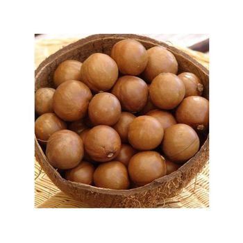 Fast delivery Macadamia nuts bulk supply wholesale premium fresh stock from MT Trading GmbH Fast delivery Macadamia nuts bulk supply wholesale premium fresh stock - MT Trading GmbH - Germany