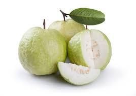 Guava (Export Quality from India) - AGROCARTE EXIM ENTERPRISES PVT LTD - India