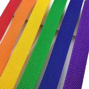 Wholesale Factory High Quality PP Webbing Custom Polypropylene Ribbon for Bags - XIAMEN POPTRIMS TEXTILE CO.,LTD. - China