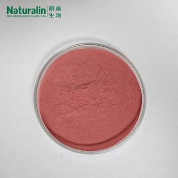 Cranberry Powder - Naturalin Bio-Resources Co , Ltd - China