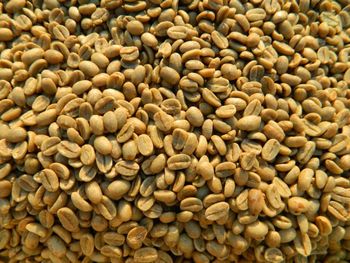 Fully Certified Raw Coffee Beans Coffee Beans Arabica Robusta Roasted Coffee Beans with the Best Price  WHATSAP +255787979235 - AL JABLI TRADING COMPANY LIMITED - Tanzania