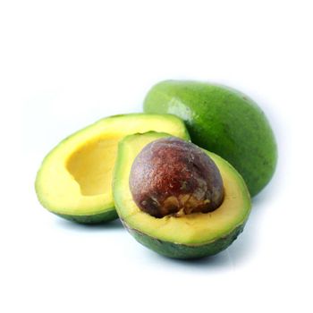 High grade fresh avocado in stock ready for export and large orders - CHHC AGR0-CHEMICAL PRODUCTS WHOLESALING - Philippines
