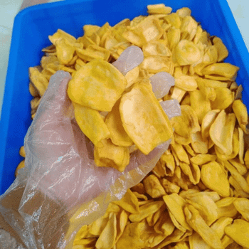 Crispy Dried Jackfruit Chips Bulk | Freeze Dried & Vacuum Fried Jackfruit Snack from Vietnam Supplier - Viet D.E.L.T.A Industrial Co.Ltd. - Vietnam