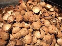 Coconut shells from tosolved Coconut shells - tosolved - United Arab Emirates