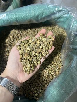 Vietnamese  Green Robusta Coffee - PASO TRADING CO.,LTD - Vietnam
