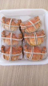 China Cooked Mitten Crab, IQF Origin China HS Code 160510 Model NO. C-08 Type Cephalopod Trademark DACHENG Process Fresh - Dacheng International Trade Co., Ltd. - China