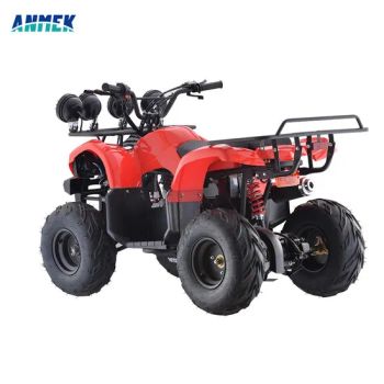 250cc Tires China Parts 25cc 49cc Kids 550cc Adulti Amphibious and UTV Basket Engine 150cc Germany Graphics India Light Bar ATV - Hangzhou Longwin Industry Limited - China