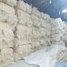 Wholesale Sisal Hemp / Natural UG Grade Sisal Fibre for Sale Wholesale Natural UG Grade Sisal Fibre from Thai Agri Company Wholesale Sisal Hemp / Natural UG Grade Sisal Fibre for Sale Wholesale Natural UG Grade Sisal Fibre - Thai Agri Company - Thailand