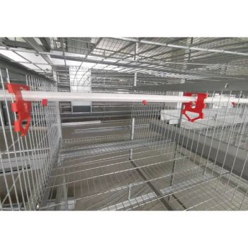 Poultry Farming Battery Layer Cages Equipment for Laying Hens Chicken Farm - Henan Hengyin Automation Technology Co., Ltd. - China