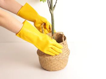 Cleaning Special Supermarket Household Goods Oxford Rubber Gloves Retail Wholesale - Linyi Golden Dragon Source Safety Technology Co., Ltd. - China
