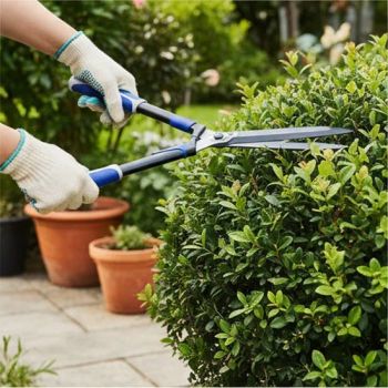LSR3131 Hot-Selling 65 Manganese Steel Blade Garden Hedge Shears Branches Flower Trees Straight Blade Long Scissors Tools Hand Tools - ANHUI WALI ENVIRONMENTAL PROTECTION EQUIPMENT CO., LTD. - China