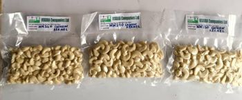 Cashew kernels - VIXXRA Companies Ltd - Nigeria
