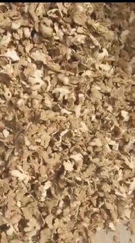 Dry ginger from Medilight global investment limited Dry ginger - Medilight global investment limited - Nigeria