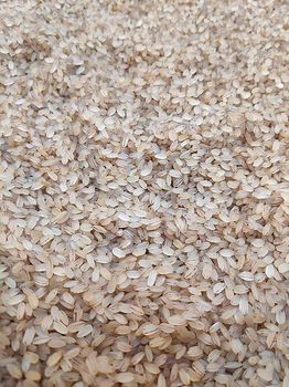 Palakkadan Unda Matta Rice from NIIC Global Palakkadan Unda Matta Rice – product photo, Rice products found from trusted suppliers, wholesalers, manufacturers & exporters Listing