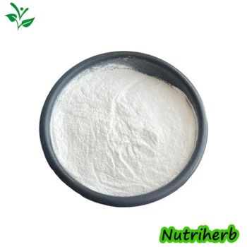 Improve Performance and Endurance Sports Supplement Nutrition Enhancers CAS 372-75-8 L-Citrulline Powder 99% - Nanjing NutriHerb BioTech Co., Ltd. - China