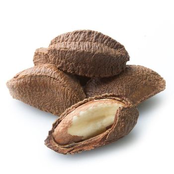 Premium Organic Brazil Nuts Dried Kernels With Natural For Export Packaging Bulk Wholesale Supply - malter group - Tanzania