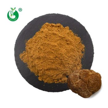 Pincredit Wholesale Price Organic Lions Mane Mushroom Extract Powder - Xi'an Pincredit Bio-Tech Co., Ltd. - China