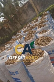 DRIED GINGER – product photo, Dried Ginger Coffee products found from trusted suppliers, wholesalers, manufacturers & exporters Listing