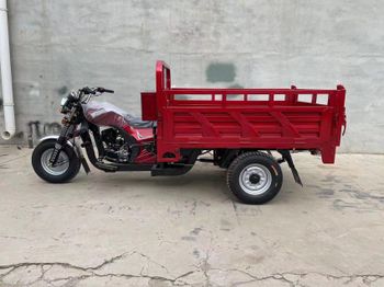 200cc Cargo Motorrized Tricycle bike - Tianjin Tao Hao Vehicle - China