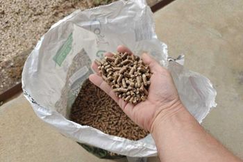 Trending product Buy ENplus DIN A1 Beech and Pine Wood Pellets in bags Clean Burning Fuel for Home Heating - Smart Agri GmbH - Germany