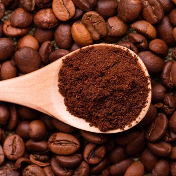 Coffee Beans - Jadien - Chile