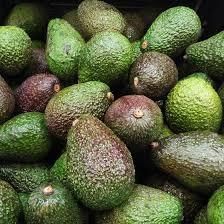 Best Quality Wholesale Fresh Produce Vegetable Buyer Avocado Fresh Grade Edible Avocado From the Farm Fresh Avocado for Export - AGRONOVA - United States