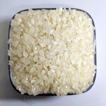 Buy Japonica Rice 25kg 50kg High Quality Short Grain Rice Clean Polished White Grain Sticky Texture Perfect For Sushi Japanese Cuisine And Home Cooking Fast Delivery Premium Quality Wholesale – product photo, Polished Rice products found from trusted suppliers, wholesalers, manufacturers & exporters Listing