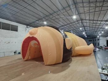 Advertising Inflatables, Consumer -  Huizhou Maienpin Co., Ltd  - China