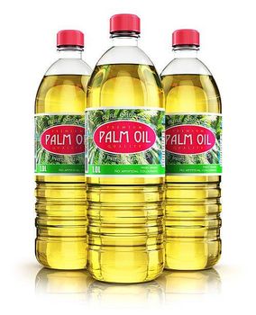 REFINED CP8 COOKING PALM OIL - W&E HOLDING BV - Netherlands