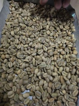 Coffee Organic Yes Decaffeinated No Bean Type Arabica Degree of Processing Raw - Equatorial Business Group - Ethiopia