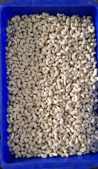 CASHEWS W240 from TSD CASHEWS CASHEWS W240 – product photo, Cashews products found from trusted suppliers, wholesalers, manufacturers & exporters Listing