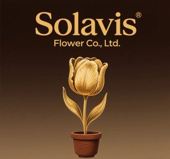 Product - Changsha Solavis Flower Co., Ltd. - China