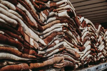 Premium Export Quality Wet Salted Donkey Hides Dry Salted Donkey Skins Wholesale Supplier Leather Goods Manufacturing - AGRONOVA - United States