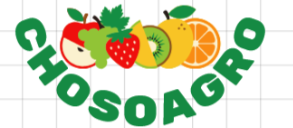 CHOSOAGRO ENTERPRISE