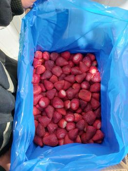 High-Quality IQF Frozen Strawberries from Al Soltan Food High-Quality IQF Frozen Strawberries - Al Soltan Food - Egypt