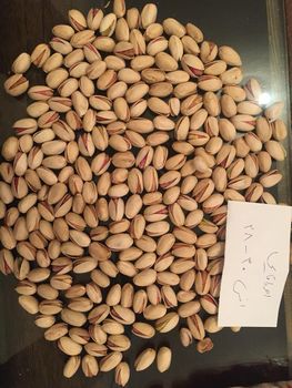 Pistachios from Aram andish Pistachios - Aram andish - Iran