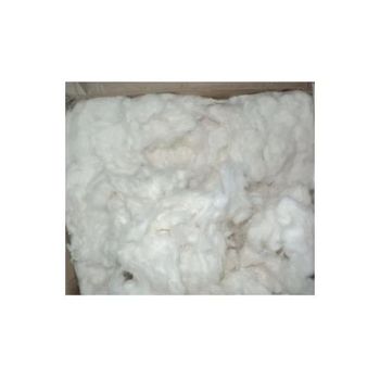 Raw Organic Cotton – product photo, Recommend Fallback